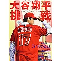 レア　岩手限定　非売品 大谷翔平選手 厚紙ポスター 大谷翔平さんの地元 水沢江刺 を訪ねさせていただいたんですが